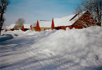 applerum i sno_bmm.jpeg